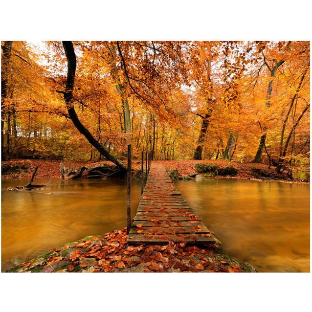 Kuvatapetti Artgeist Syksy: silta eri kokoja