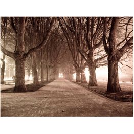 Kuvatapetti Artgeist Park street eri kokoja