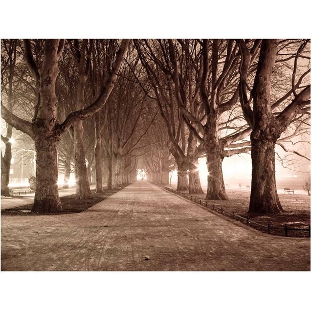 Kuvatapetti Artgeist Park street eri kokoja