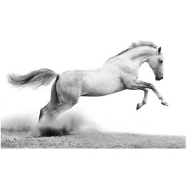 Kuvatapetti Artgeist White gallop eri kokoja