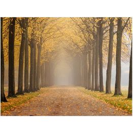 Kuvatapetti Artgeist Journey to the unknown eri kokoja