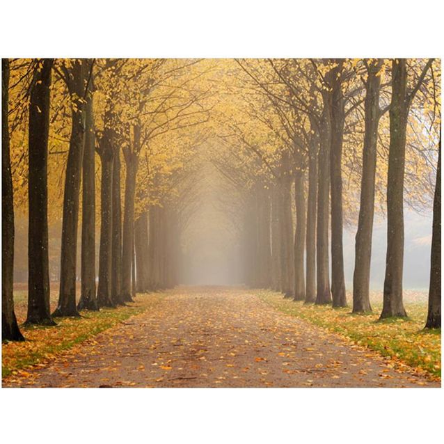 Kuvatapetti Artgeist Journey to the unknown eri kokoja