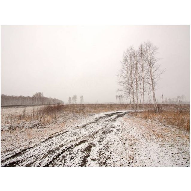 Kuvatapetti Artgeist Winter field eri kokoja