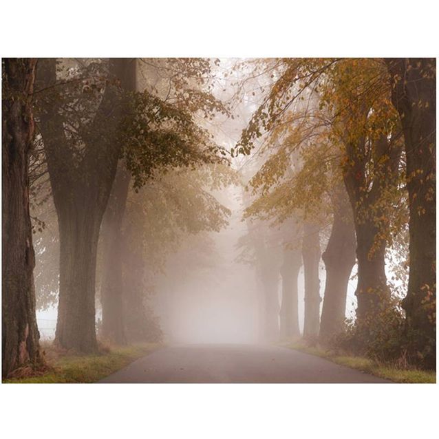 Kuvatapetti Artgeist Umpikujaan eri kokoja