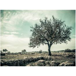 Maisematapetti Artgeist Tree - vintage, eri kokoja