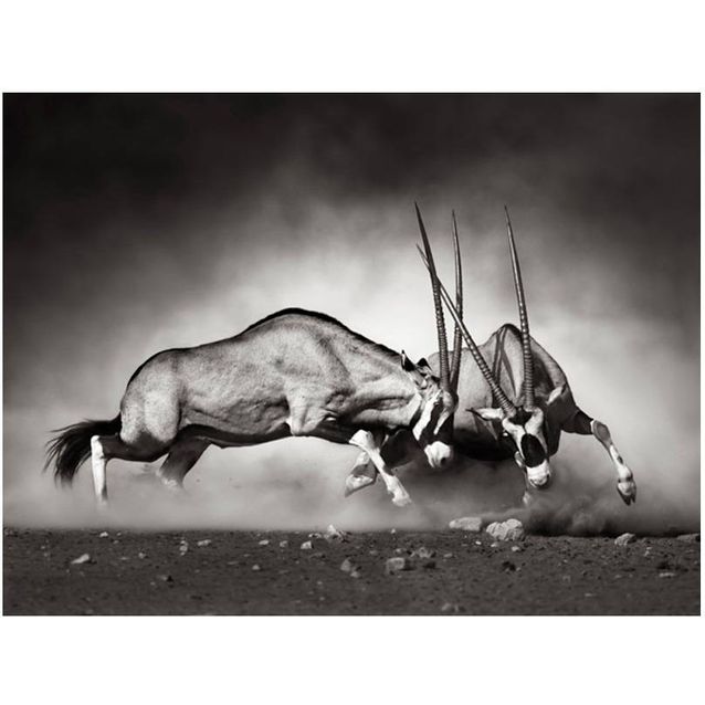 Kuvatapetti Artgeist Baisan taistelu eri kokoja