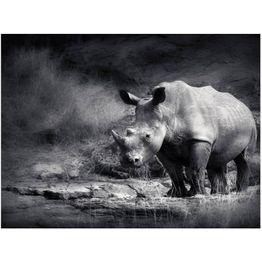 Kuvatapetti Artgeist Rhinoceros eri kokoja