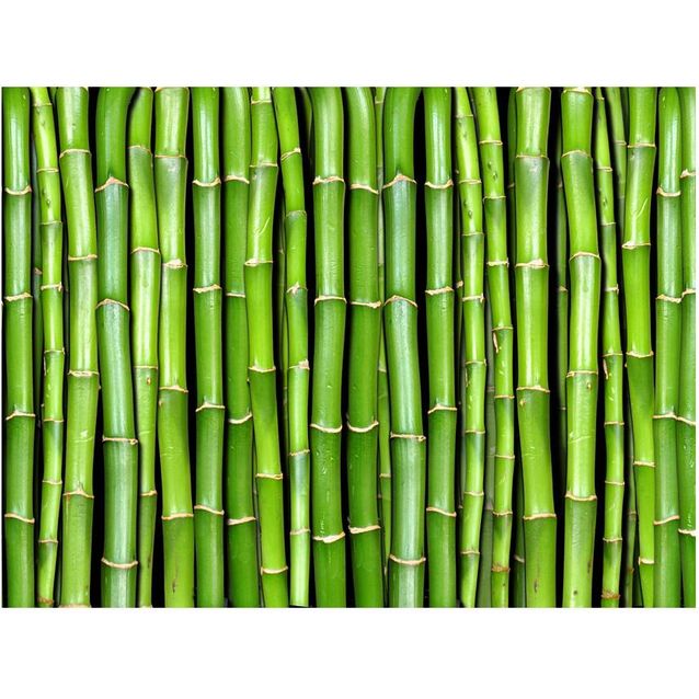 Kuvatapetti Artgeist Bambu eri kokoja
