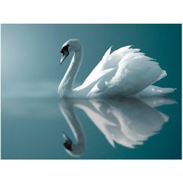 Kuvatapetti Artgeist White Swan eri kokoja