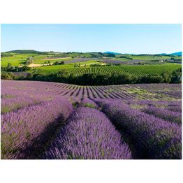 Maisematapetti Artgeist Laventelipellot, eri kokoja