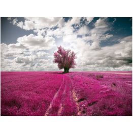 Maisematapetti Artgeist Magentaniitty, eri kokoja
