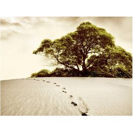 Maisematapetti Artgeist Puu erämaassa, eri kokoja