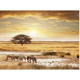 Maisematapetti Artgeist Seeprat juomapaikalla, eri kokoja