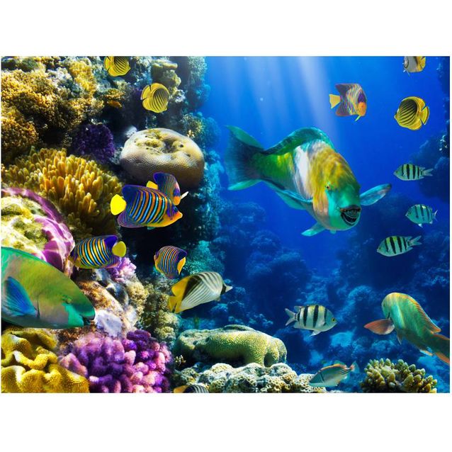 Kuvatapetti Artgeist Vedenalainen paratiisi eri kokoja