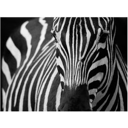 Kuvatapetti Artgeist Seepran raidat eri kokoja