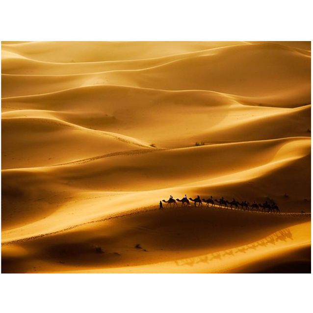 Kuvatapetti Artgeist Karavaani eri kokoja