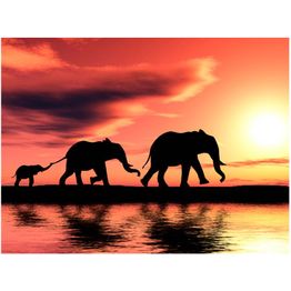 Maisematapetti Artgeist Elephants: family, eri kokoja