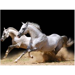 Kuvatapetti Artgeist Laukkaavat hevoset hiekalla eri kokoja