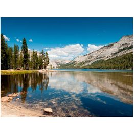 Maisematapetti Artgeist Tenaya Lake - Yosemite National Park, metsä, eri kokoja