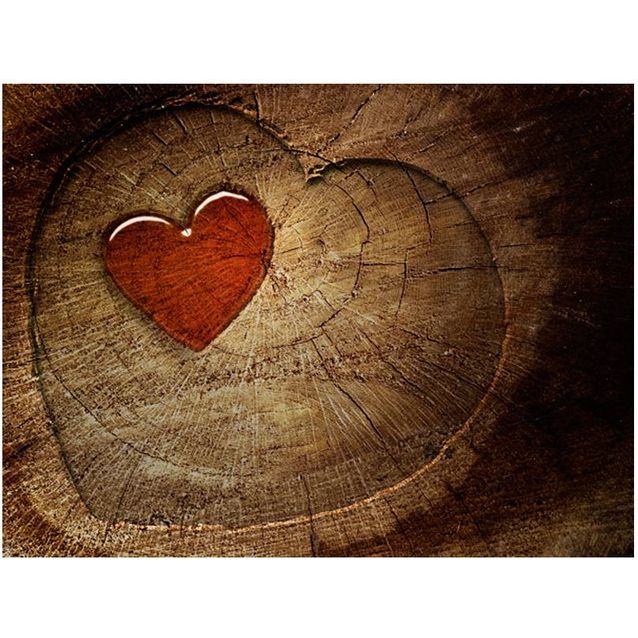 Kuvatapetti Artgeist Eternal love eri kokoja