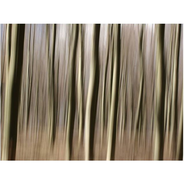 Kuvatapetti Artgeist Puukuvionti eri kokoja