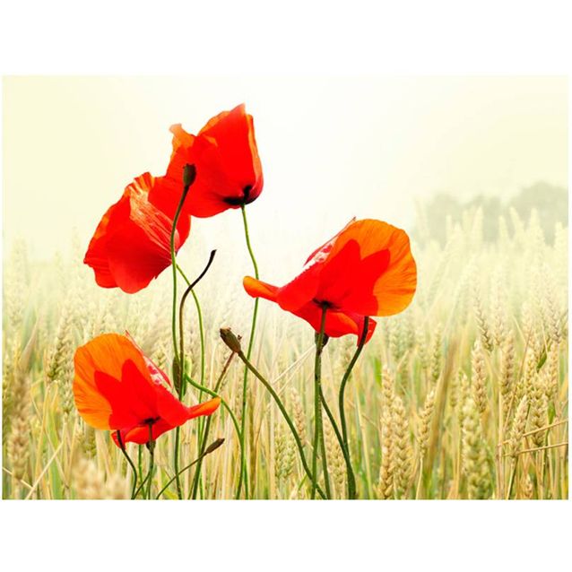 Kuvatapetti Artgeist Villiunikot eri kokoja