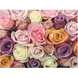 Kuvatapetti Artgeist Pastel roses eri kokoja