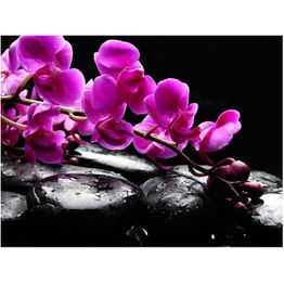 Kuvatapetti Artgeist Rentouttava hetki: orkidea ja kivet eri kokoja