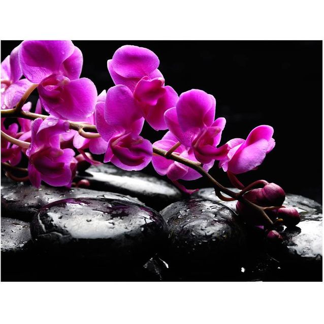 Kuvatapetti Artgeist Rentouttava hetki: orkidea ja kivet eri kokoja