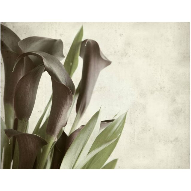 Kuvatapetti Artgeist Keltahuonevehkat - vanha paperi tausta eri kokoja