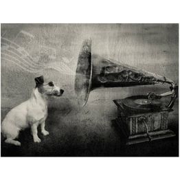 Kuvatapetti Artgeist Dog's melodies eri kokoja