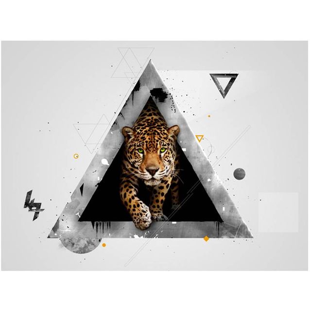 Kuvatapetti Artgeist Wild abstraktio eri kokoja