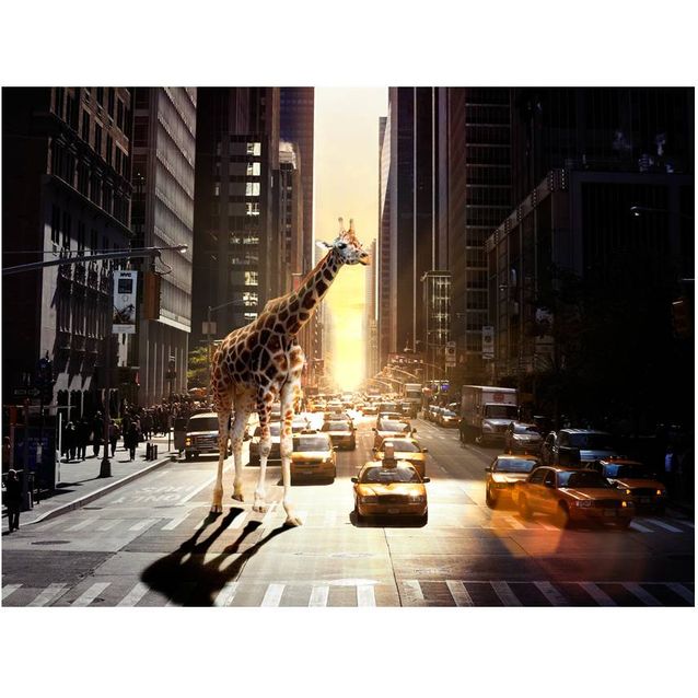 Kuvatapetti Artgeist Kirahvi suurkaupungissa eri kokoja