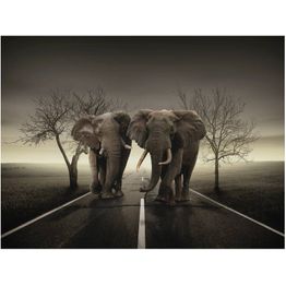 Kuvatapetti Artgeist Kaupunkinorsut eri kokoja