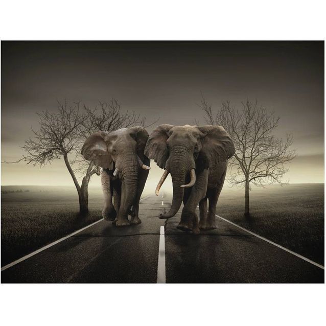 Kuvatapetti Artgeist Kaupunkinorsut eri kokoja