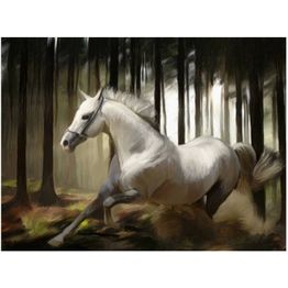 Kuvatapetti Artgeist White Chase eri kokoja