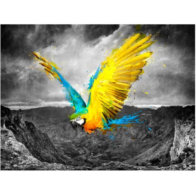 Kuvatapetti Artgeist Exotic parrot eri kokoja