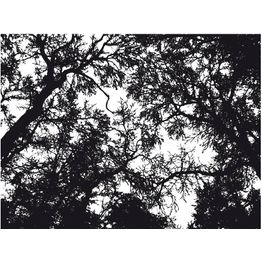 Kuvatapetti Artgeist Bleak forest eri kokoja