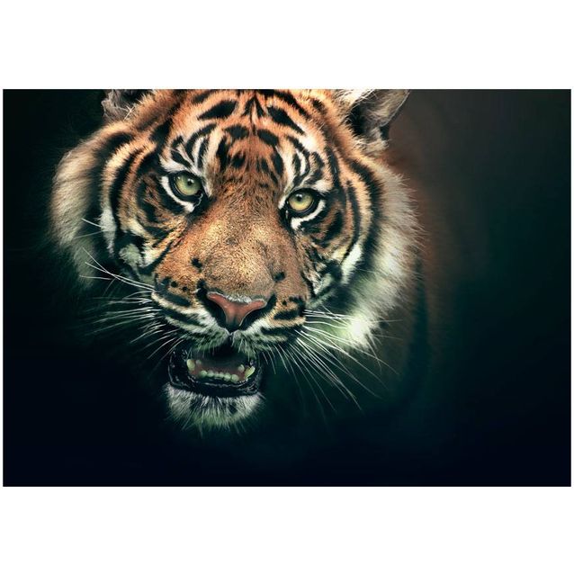 Kuvatapetti Artgeist Bengal Tiger eri kokoja