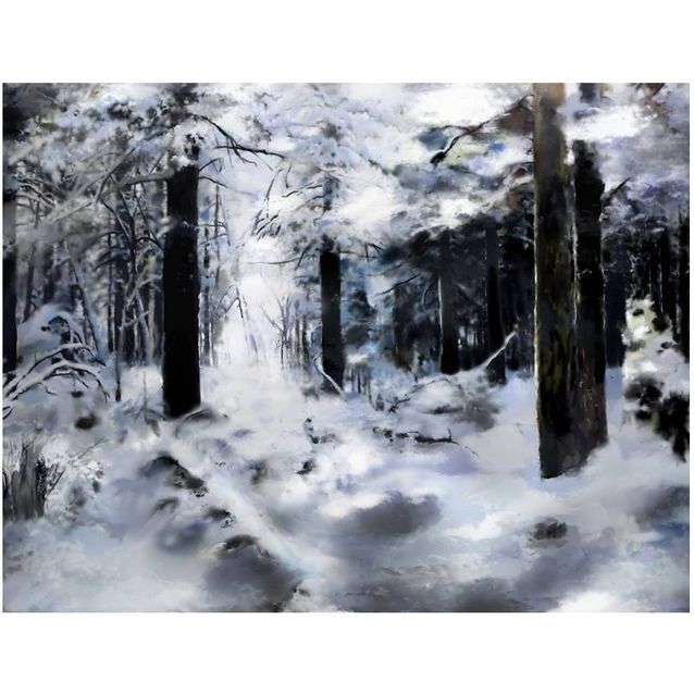 Kuvatapetti Artgeist Winter forest II eri kokoja