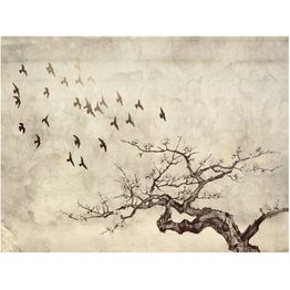 Kuvatapetti Artgeist Flock of birds eri kokoja