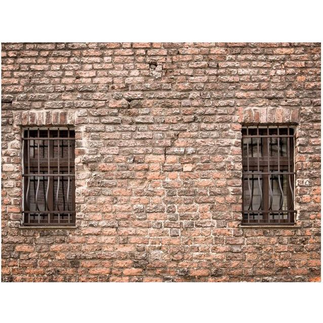 Kuvatapetti Artgeist Trapped in reality, tiiliseinä, eri kokoja