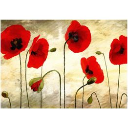 Kuvatapetti Artgeist Maalatut unikot eri kokoja