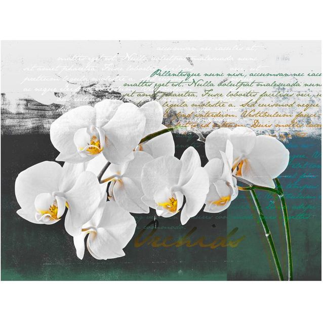 Kuvatapetti Artgeist Orkidea - runoilijan inspiraatio eri kokoja