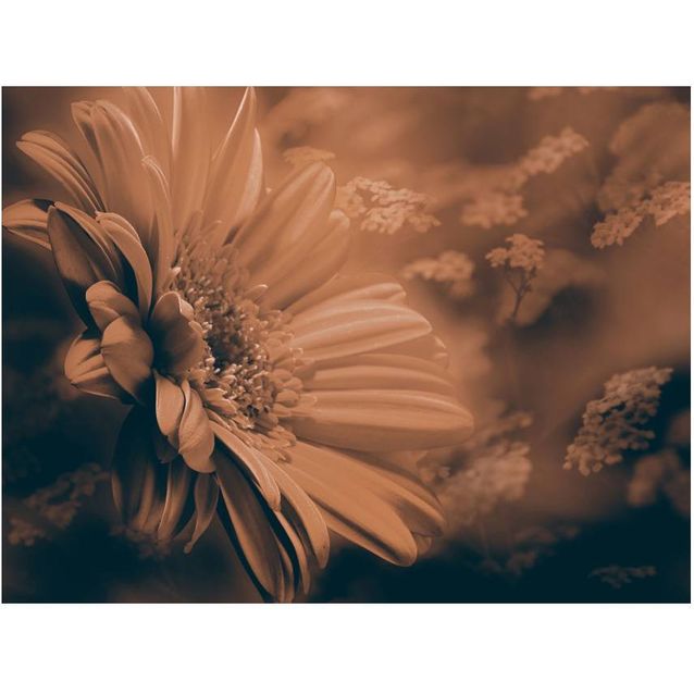 Kuvatapetti Artgeist Gerbera pronssi eri kokoja