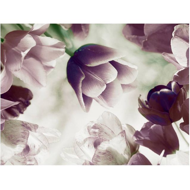 Kuvatapetti Artgeist Heavenly tulips eri kokoja