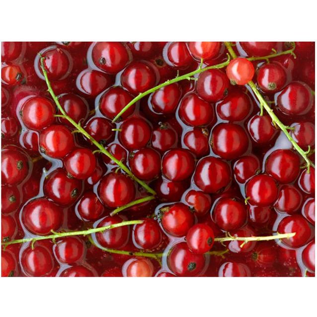 Kuvatapetti Artgeist Punaherukat eri kokoja