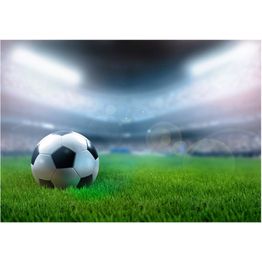 Kuvatapetti Artgeist World championship eri kokoja