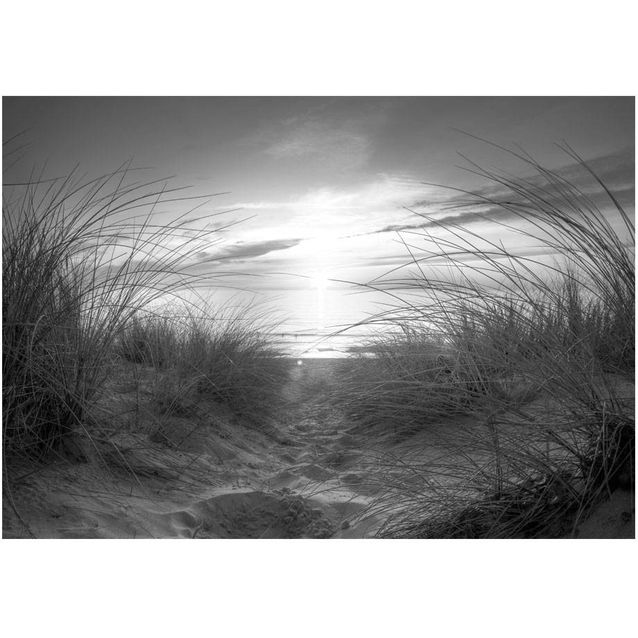 Kuvatapetti Artgeist Black and White Beach eri kokoja