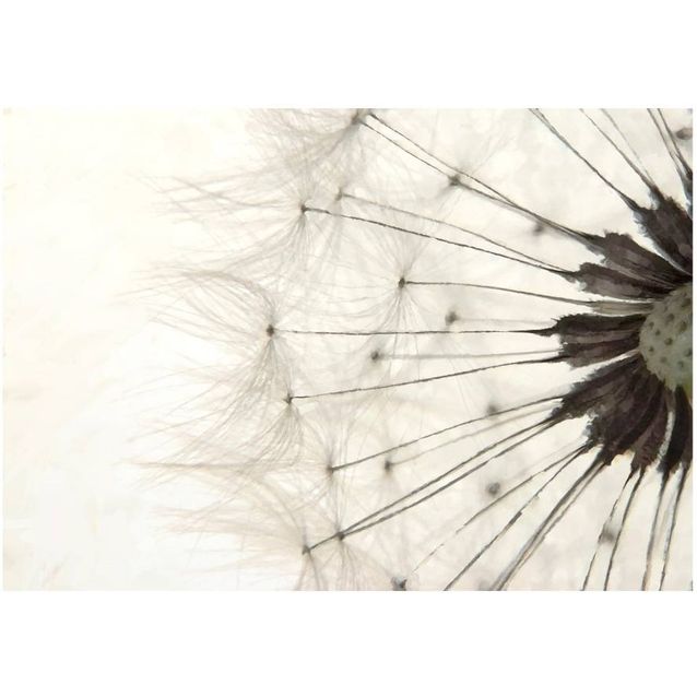 Kuvatapetti Artgeist White Dandelion eri kokoja
